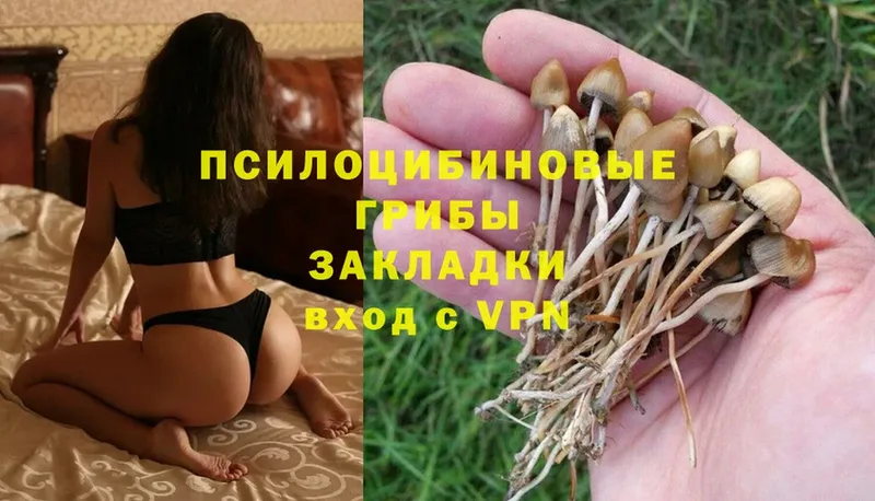 Галлюциногенные грибы Cubensis  Киренск 